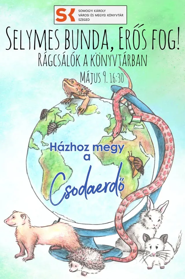 Selymes bunda, erős fog!Rágcsálók a könyvtárban